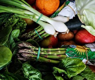Ciclista Vegetariano
