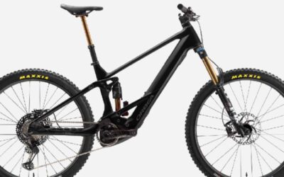 orbea wild