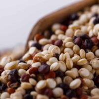 Quinoa: un alimento beneficioso para los ciclistas