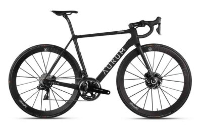 AURUM BIKE FRAME3 1024x683 1