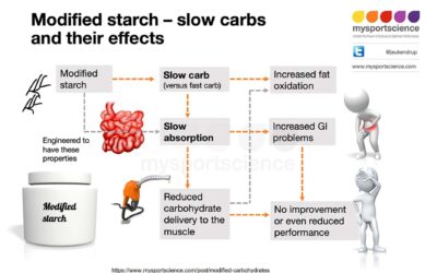 carbohidrato o hidratos de carbono esenciales para cualquier actividad deportiva