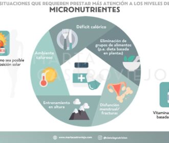 Importancia De Los Micronutrientes En El Deporte 1 Importancia De Los Micronutrientes En El Deporte