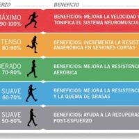Frecuencia cardíaca en ciclistas ¿Cómo controlarla?