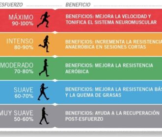 Frecuencia Cardíaca En Ciclistas ¿Cómo Controlarla?