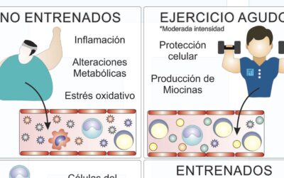 relacion del deporte con el sistema inmunologico