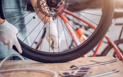 AdobeStock 339175981 1 scaled