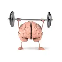 ¿Cómo funciona la memoria muscular en el ciclismo?