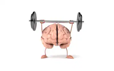 como funciona la memoria muscular en el ciclismo