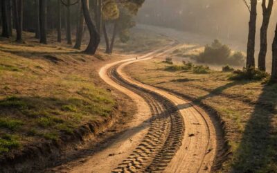 roderas de los caminos con la mtb