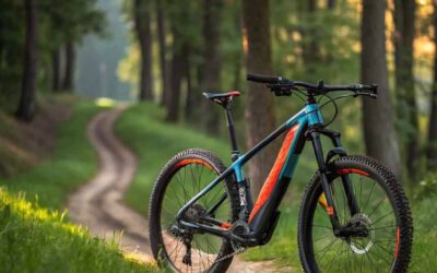 bicicleta de monta a electrica