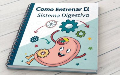 Entrenar el Sistema Digestivo