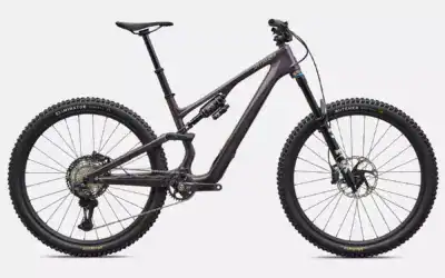 Specialized Stumpjumper 15 EVO