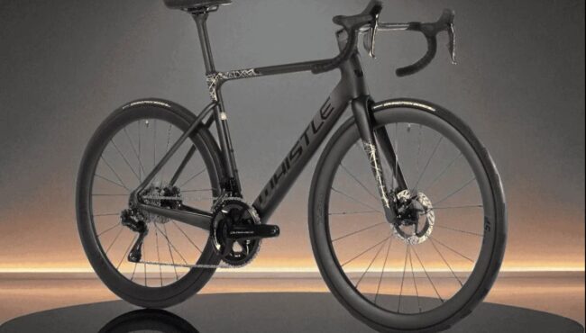 Bicicletas Whistle Temporada 2026