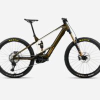 Revisión Orbea Wild 2026
